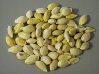 Sjeme Narangi Fruit Seed Seed