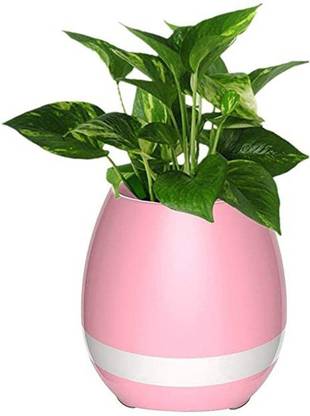 KJ ALONG high bass advanced flower speaker 48 W Bluetooth Speaker