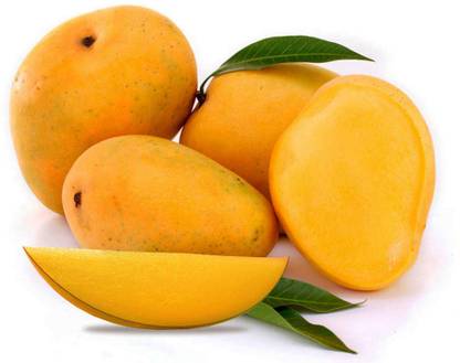 PEARL mango, aam, national fruit of India Seed