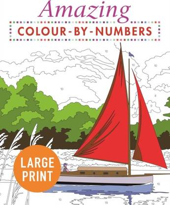 Amazing Colour-by-Numbers Large Print