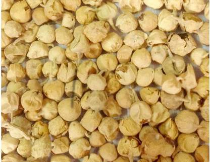 Panir paneer phol, paneer dodi, paneer doda Seed