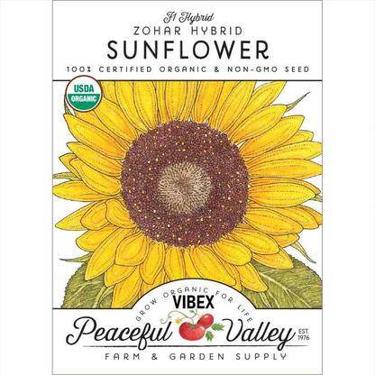 VibeX Sunflower Seed