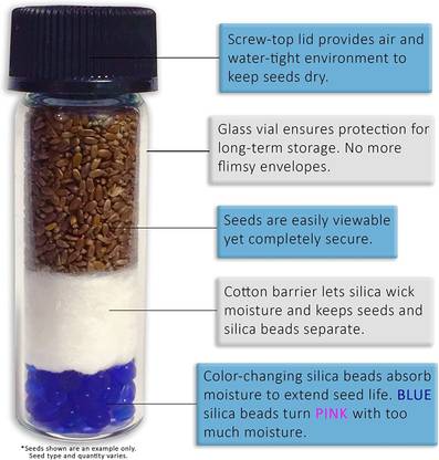 VibeX Emily Basil Seeds Seed
