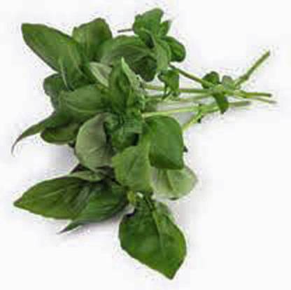 Biosnyg Sweet Genovese Basil 10gm Seeds Seed