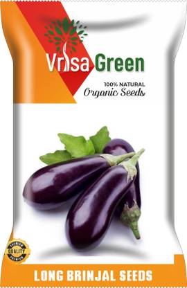 Vrisa Green LONG BRINJAL Seed