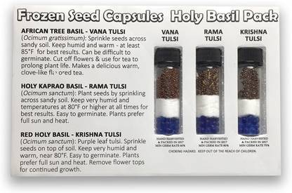 Biosnyg 3 Varieties of Holy Basil - Vana, Rama, Krishna - 5gm Seeds Seed