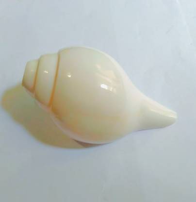 MAHADEV Decorative, Sacred, Blowing Shankh