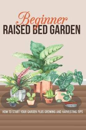 Beginner Raised Bed Garden