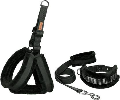 Petshop7 Dog Harness & Leash