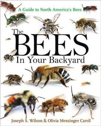 The Bees in Your Backyard