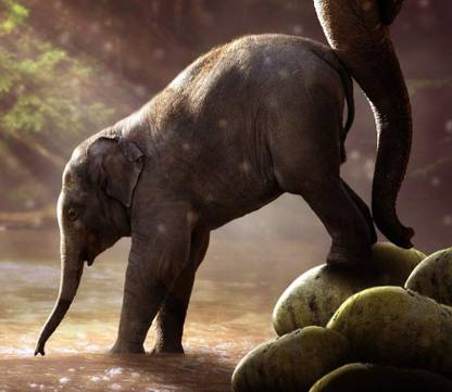 Bold & Flawsome Elephant Wall Art | ANI | Multi-Panel of Elephant Pictures for Wall Decor 3D Poster