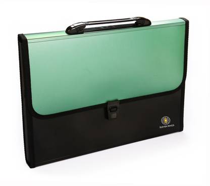Eleven Rings Plastic Plastic File Folder with Handle and 13 Pockets, A4 Size