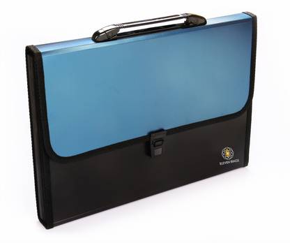 Eleven Rings Plastic Plastic File Folder with Handle and 13 Pockets, A4 Size