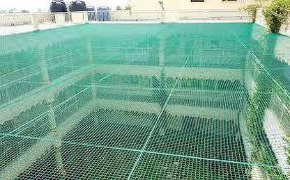 Amz Sports Nets (GREEN) 18 PLY 10FT X 25FT Nylon Mesh Balcony Net / Bird Net / Monkey Net Child Protection Net Insect Net