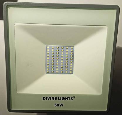Divine Lights DL-FL-4050 Flood Light Outdoor Lamp