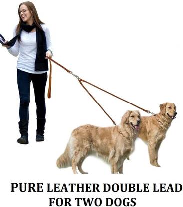 Hachiko Dog Leash