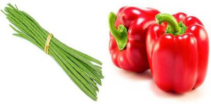 xcentax Capsicum Red, MORINGA OLEIFERA DRUM STICK RAMA PK Seed