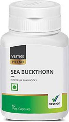 VESTlGE SEA BUCKTHORN HIPPOPHAE Rhamnoides