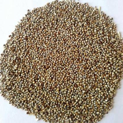 Umanath Kambam pullu Seed