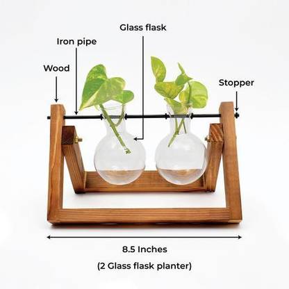 Rago Flask Planter Plant Container Set