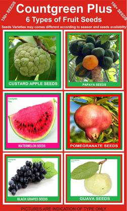 Countgreen Plus PAPAYA, POMEGRANATE, GUAVA, CUSTARD APPLE, BLACK GRAPES, WATERMELON Seed