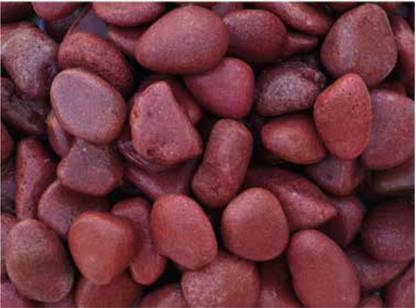 Naturally Green Red sandstone unpolished pebbles 5 kg Regular Asymmetrical Rock Pebbles