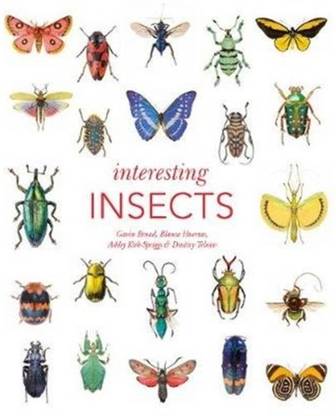 Interesting Insects
