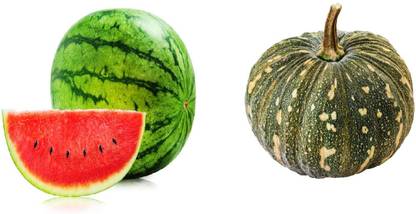 Iris Hybrid Pumpkin + Watermelon Seed