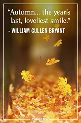 Scenery of Best Quotes Digital Painting for Wall 3D Poster