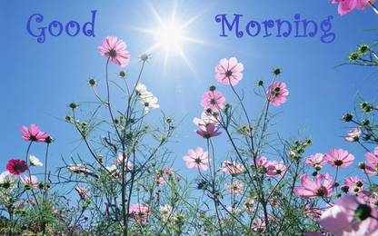 Poster of Good Morning 3D Poster