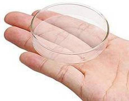 Petzlifeworld Shrimp Feeding Dish Tray, Diameter : 8cm (3.15in) Aquarium Tool