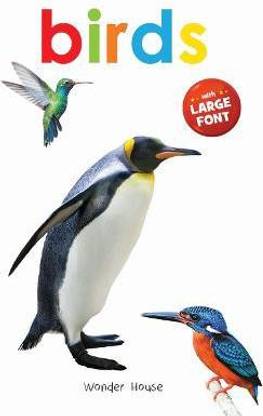 Birds - Early Learning Board Book With Large Font : Big Board Books Series