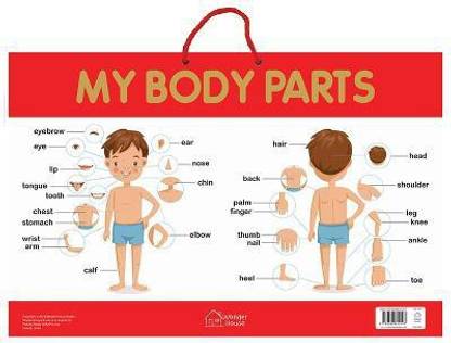 My Body Parts  - By Miss & Chief
