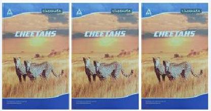 Classmate Regular Regular Notebook Unruled 400 Pages