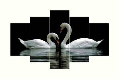 Brothers Creation Beautiful Swan Photos Set of 5 Piece Digital Reprint 24 inch x 49 inch Painting