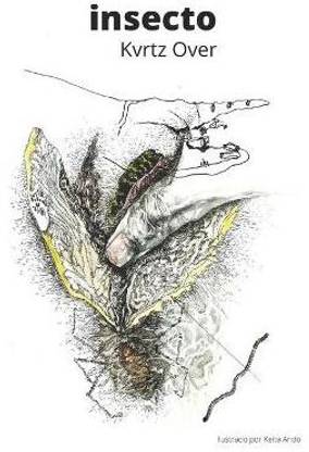 insecto