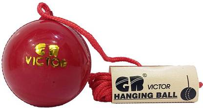 BB Sports Hanging Cricket Ball Cricket Leather Ball