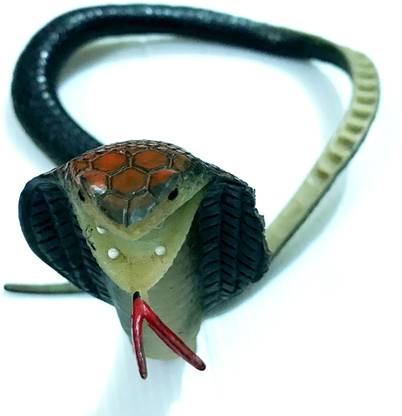 A SARKAR MAGIC WORLD SNAKE TOY (RUBBER) / PRANK SNAKE TOY / MULTI COLOR 48CM GAG TOY Gag Toy