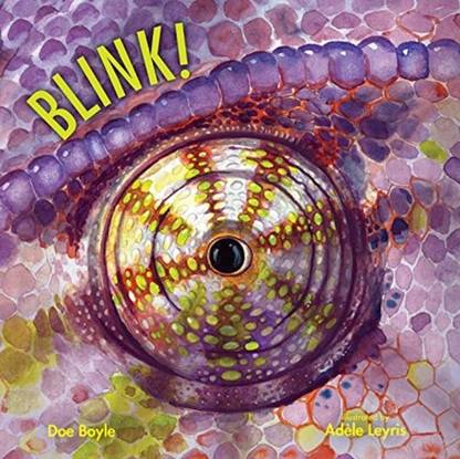 Blink! (Imagine This!) Boyle, Doe and Leyris, Adele