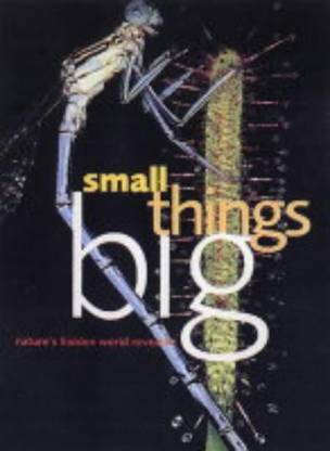 Small Things Big
