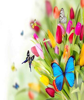 Scenery Poster of Flower Butterfly Digital Print 3D Poster