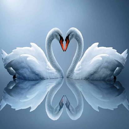 Scenery of Loving Duck Digital Print 3D Poster