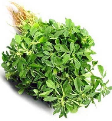 Sjeme Methi Seed