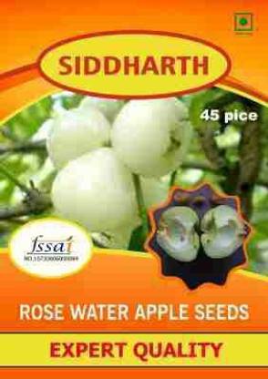 SIDDHARTH FISH FARM Green rose water apple seeds Seed