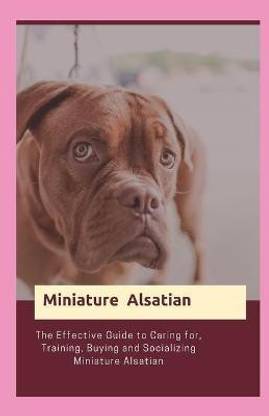 Miniature Alsatian