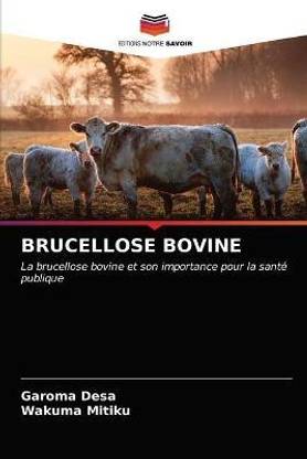 Brucellose Bovine