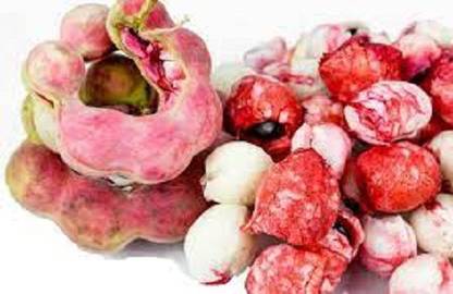 Sjeme Organic Jungle Jalebi Seed Seed