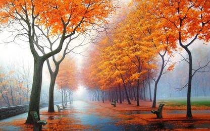 ANSHUL INTERNET 45.72 cm RAINY WEATHER SCENERY 8 Self Adhesive Sticker
