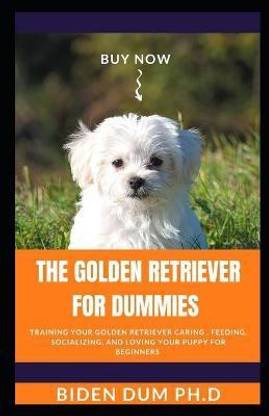The Golden Retriever for Dummies