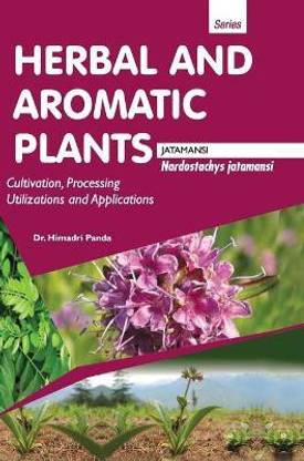 Herbal and Aromatic Plants Nardostachys Jatamansi (Jatamansi)